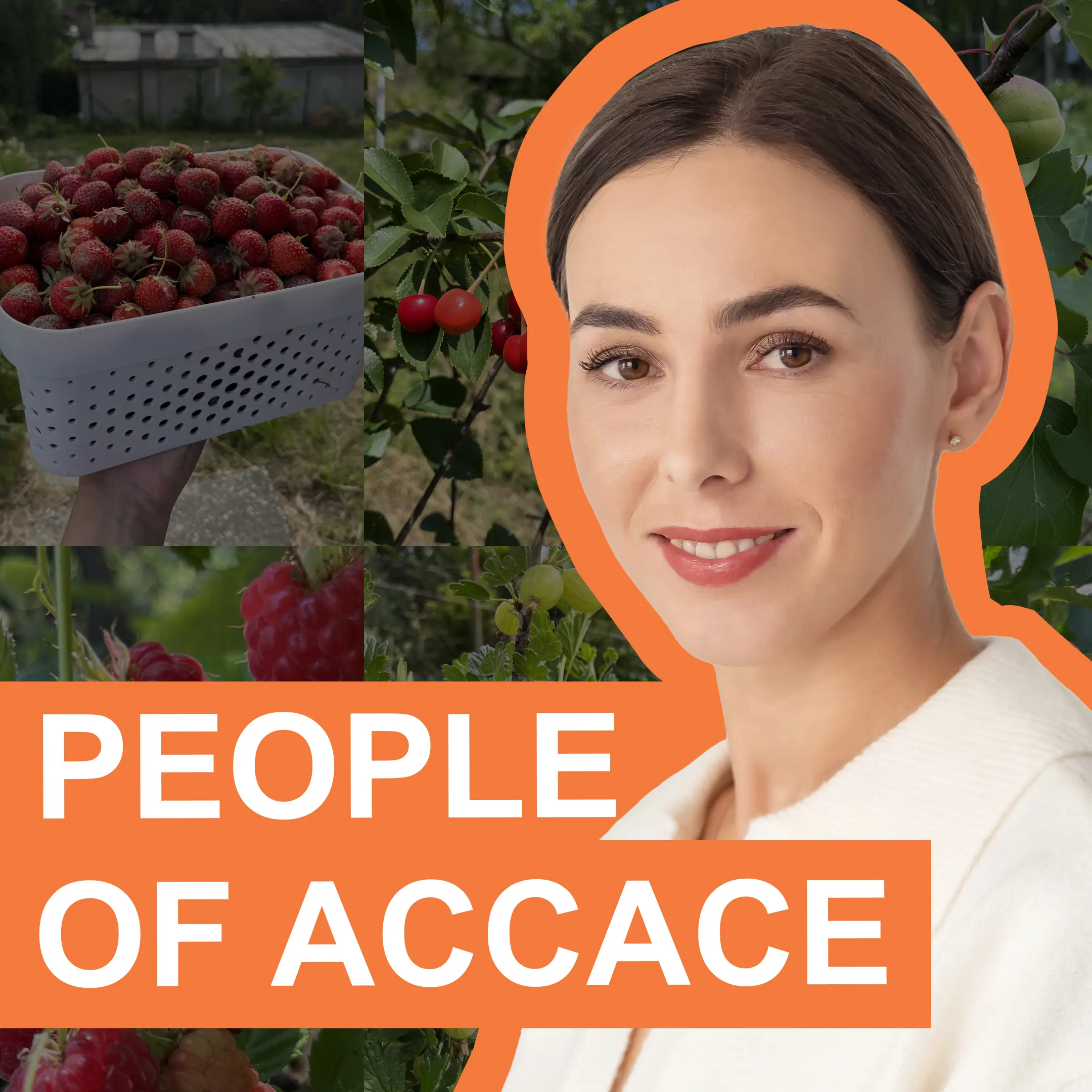 Senior Project Manager | People of Accace