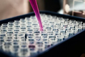 Accace - Research and development tax incentives in Hungary for businesses 